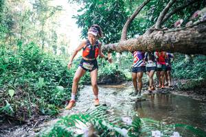 BIB: 
                            <button type="button" onclick="openModal(25444985)" class="btn btn-primary btn-sm float-right btn-popup" data-toggle="modal" data-target=".modal-high-quality">
                        <i class="fas fa-shopping-cart"></i> Add to Cart
                    </button>
                                            <button type="button" onclick="isThisMe(25444985, true)" class="btn btn-success btn-sm float-right btn-popup btn-isme hidden" data-toggle="tooltip" data-placement="bottom" title="นี่คือรูปของคุณใช่ไหม คลิกที่นี่เพื่อเอาเข้าอัลบั้ม">
                        <i class="fas fa-plus"></i> Add to album
                    </button>
                    <button type="button" onclick="isThisMe(25444985, false)" class="btn btn-warning btn-sm float-right btn-popup btn-isnotme hidden">
                        <i class="fas fa-ban"></i> Remove from album
                    </button>